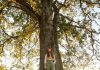 Woman under tree